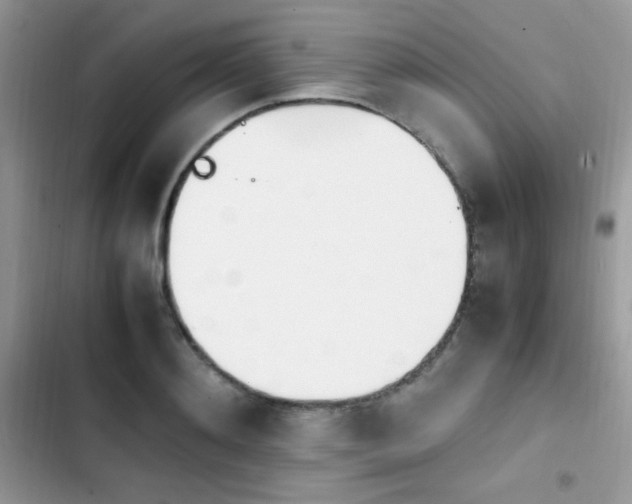 X0000103940892200809191414