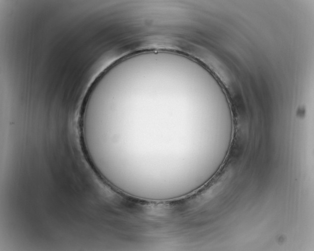 X0000103940893200809191414