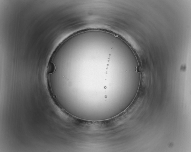X0000103940895200809191414