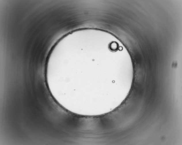 X0000103940896200809191414