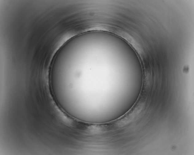 X0000103940898200809191414