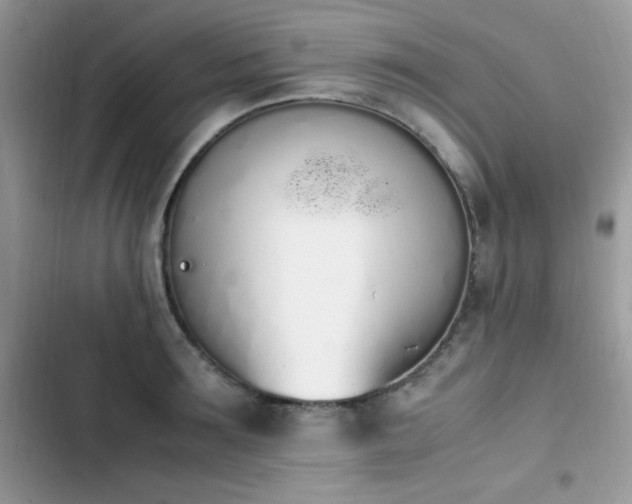 X0000103940899200809191414