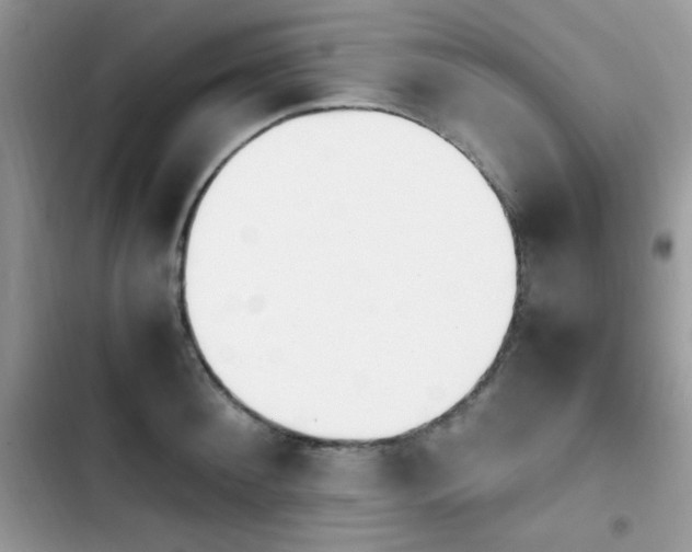 X0000103940900200809191414