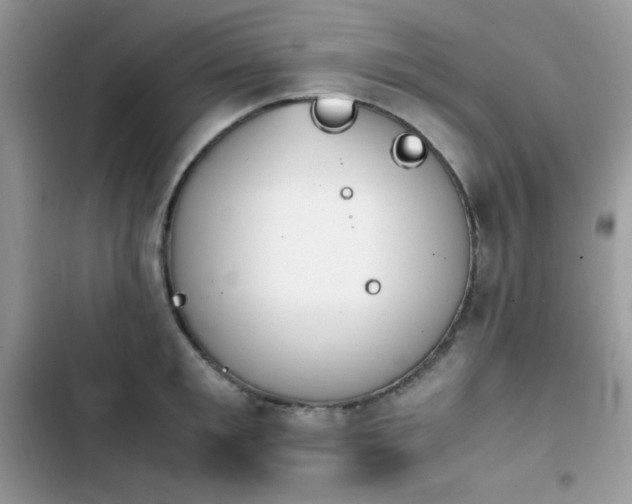 X0000103940901200809191414
