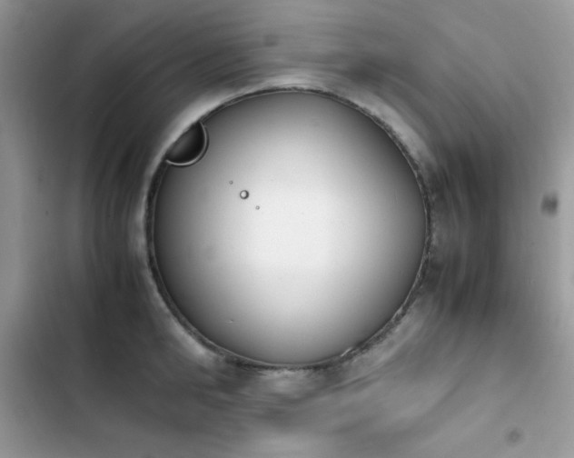 X0000103940902200809191414