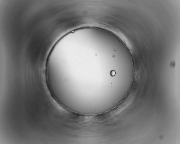 X0000103940903200809191414