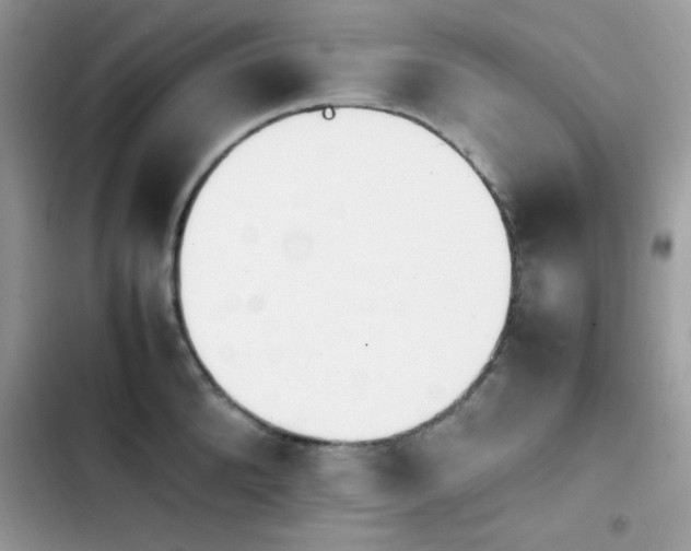 X0000103940904200809191414
