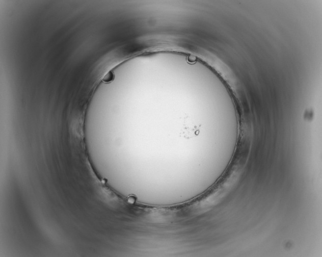 X0000103940905200809191414