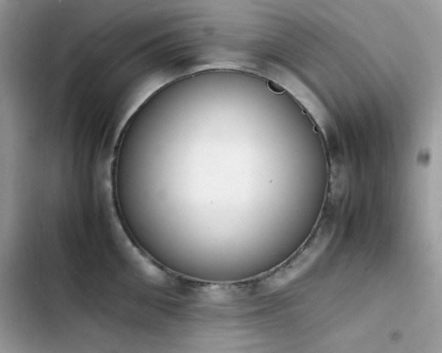 X0000103940906200809191414