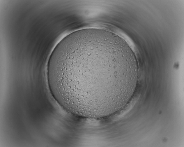 X0000103940907200809191414