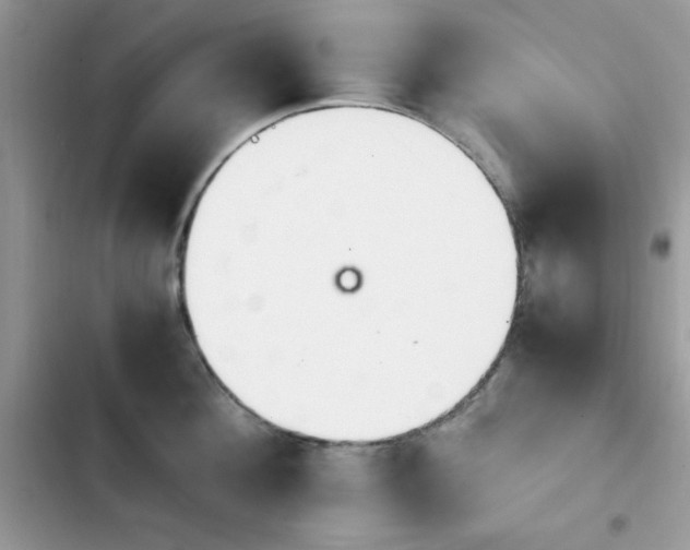 X0000103940908200809191414