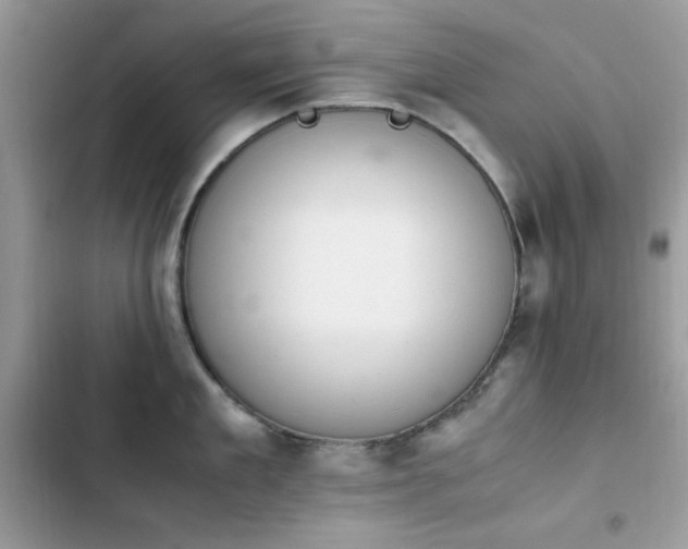 X0000103940909200809191414