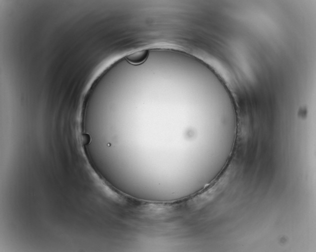 X0000103940910200809191414