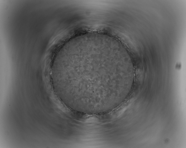 X0000103940913200809191413