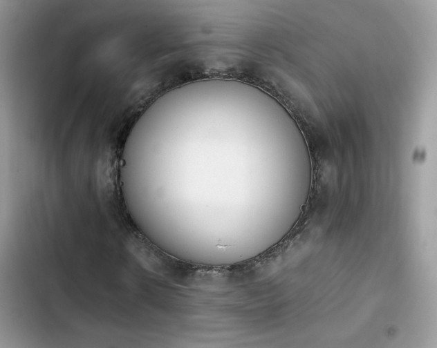 X0000103940914200809191413
