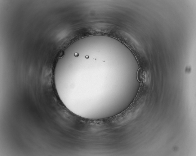 X0000103940915200809191413
