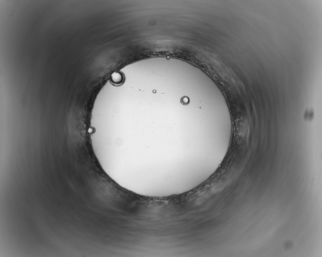 X0000103940916200809191413