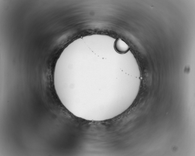X0000103940918200809191413