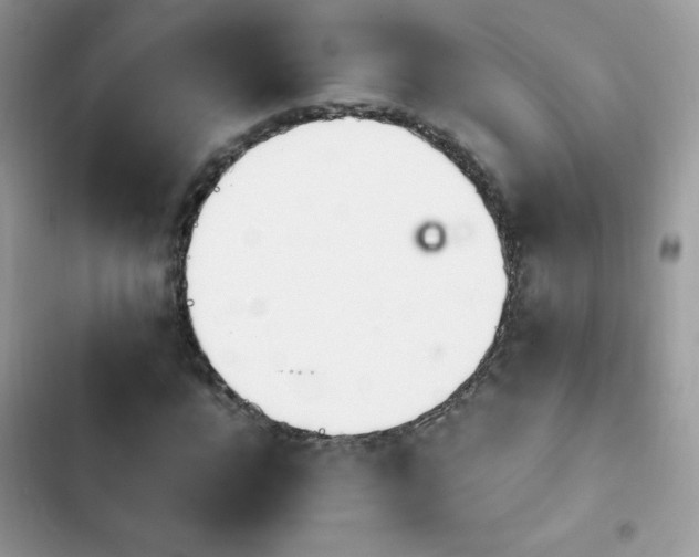 X0000103940920200809191413