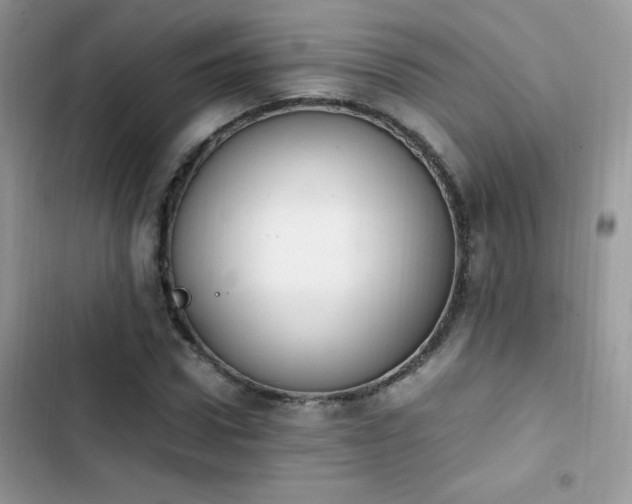 X0000103940922200809191413