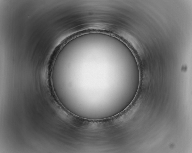 X0000103940923200809191413