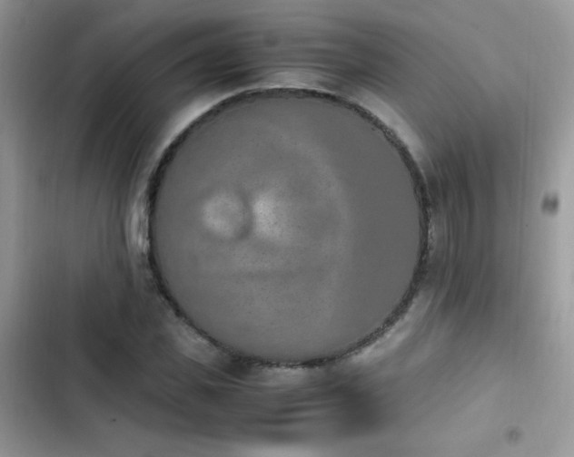 X0000103940925200809191414