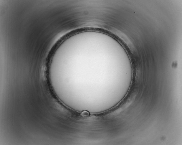 X0000103940926200809191414