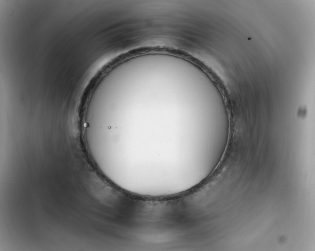 X0000103940927200809191414