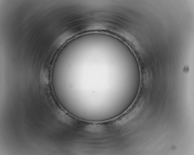 X0000103940929200809191414