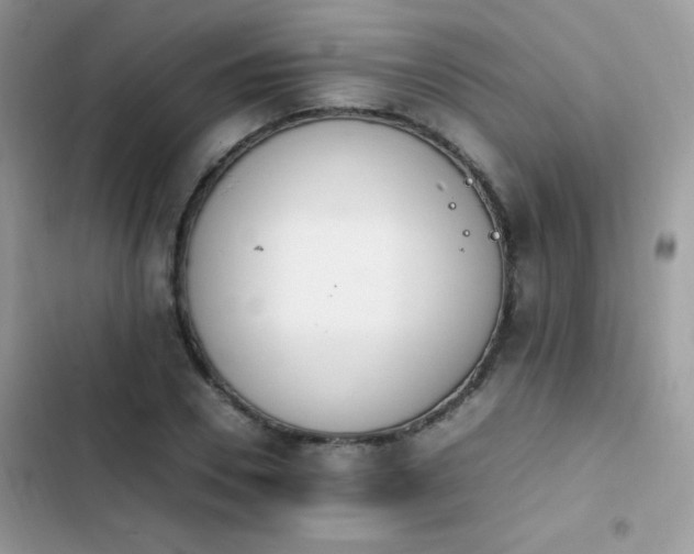 X0000103940930200809191414