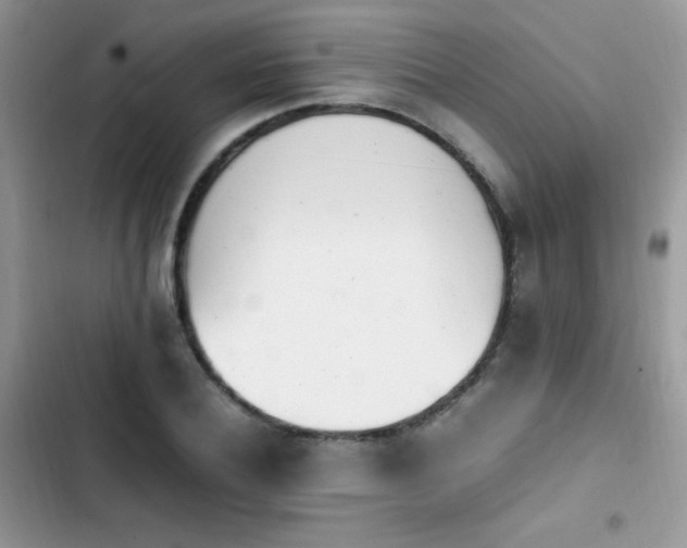 X0000103940932200809191414