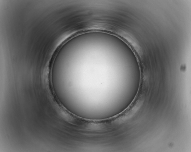 X0000103940933200809191414