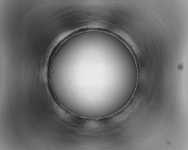 X0000103940935200809191414