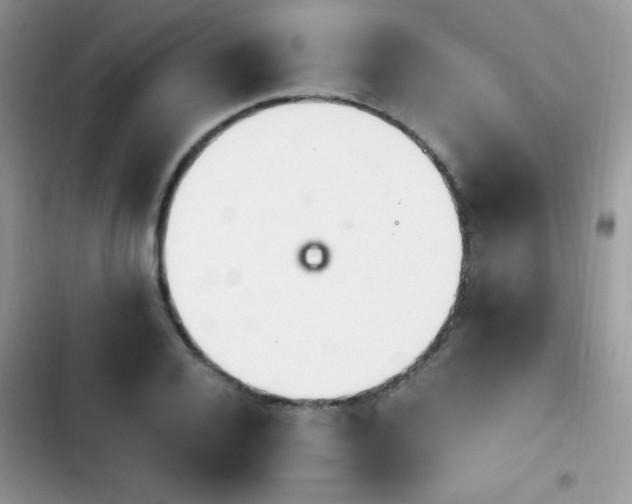X0000103940936200809191414