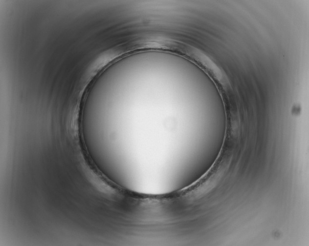 X0000103940938200809191414
