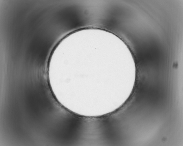 X0000103940940200809191414