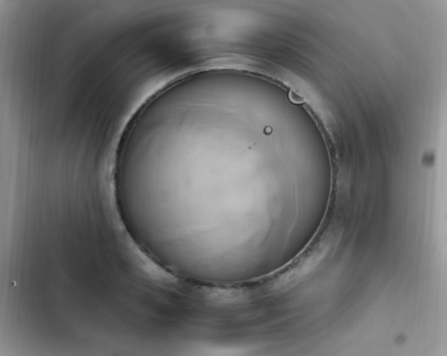 X0000103940941200809191414