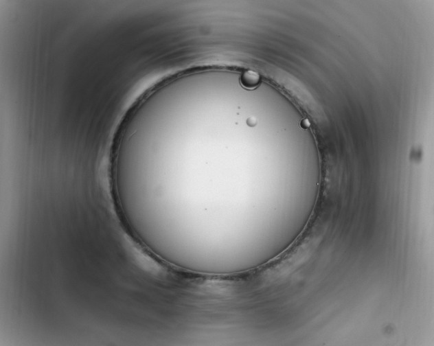 X0000103940942200809191414