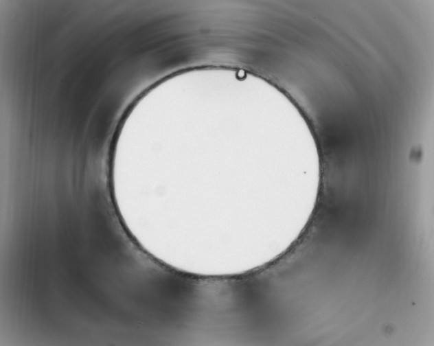 X0000103940944200809191414
