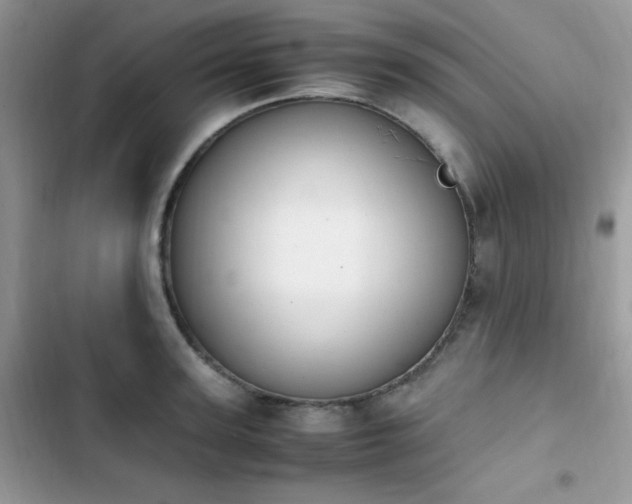 X0000103940947200809191414