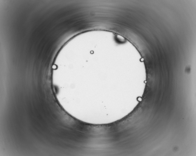 X0000103940948200809191414