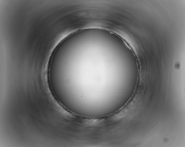 X0000103940949200809191414
