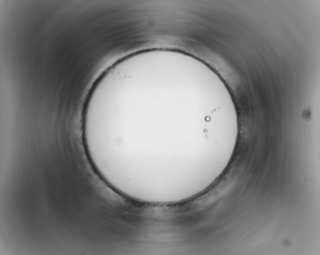 X0000103940950200809191414