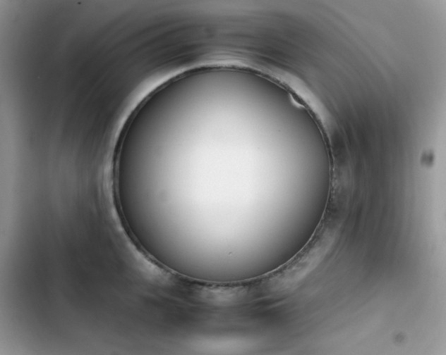 X0000103940951200809191414
