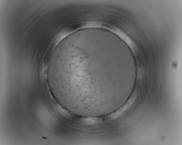 X0000103940953200809191414