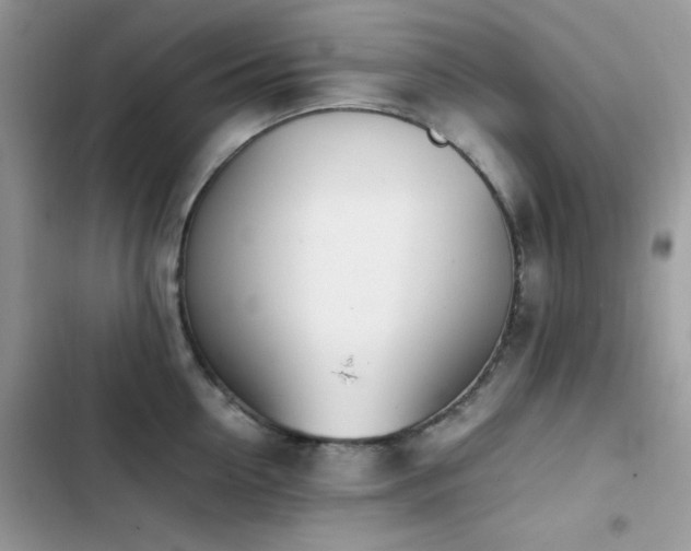 X0000103940954200809191414