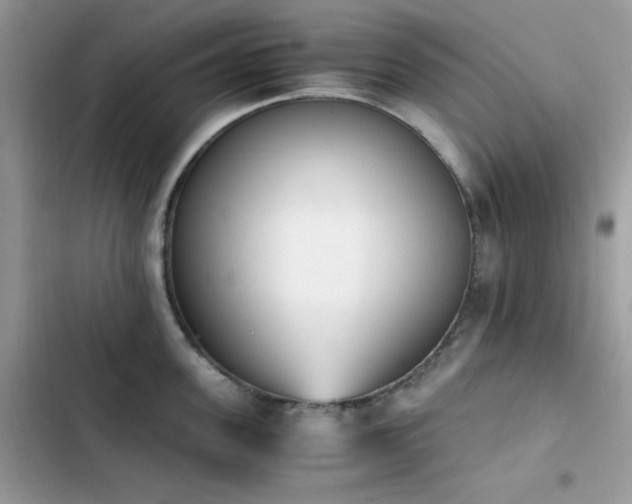 X0000103940955200809191414