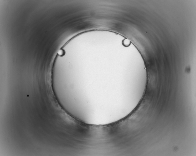 X0000103940956200809191414