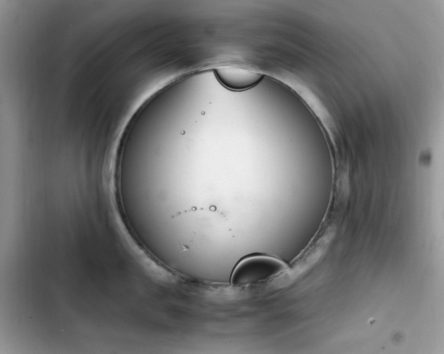 X0000103940957200809191414