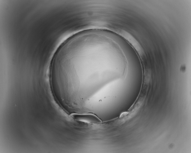 X0000103940958200809191414